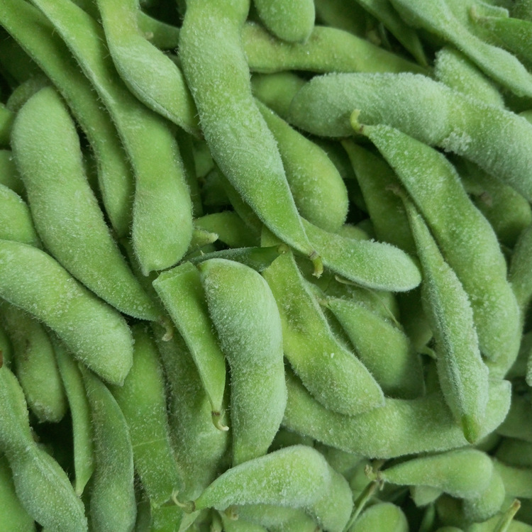 Manufactor Long-term Of large number wholesale supply high quality Quick frozen soya bean Quick-freeze Vegetables --- Before the meal snack Salad Edamame