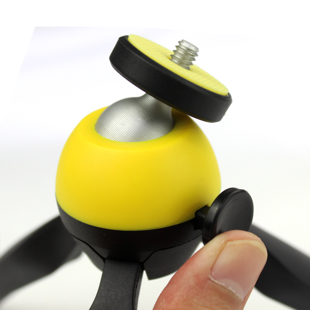 2498257273_2108336670