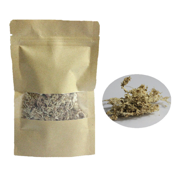 Agua seca musgo micro paisaje florero de vidrio material de bricolaje a prueba de agua absorbente agua bolsa de musgo