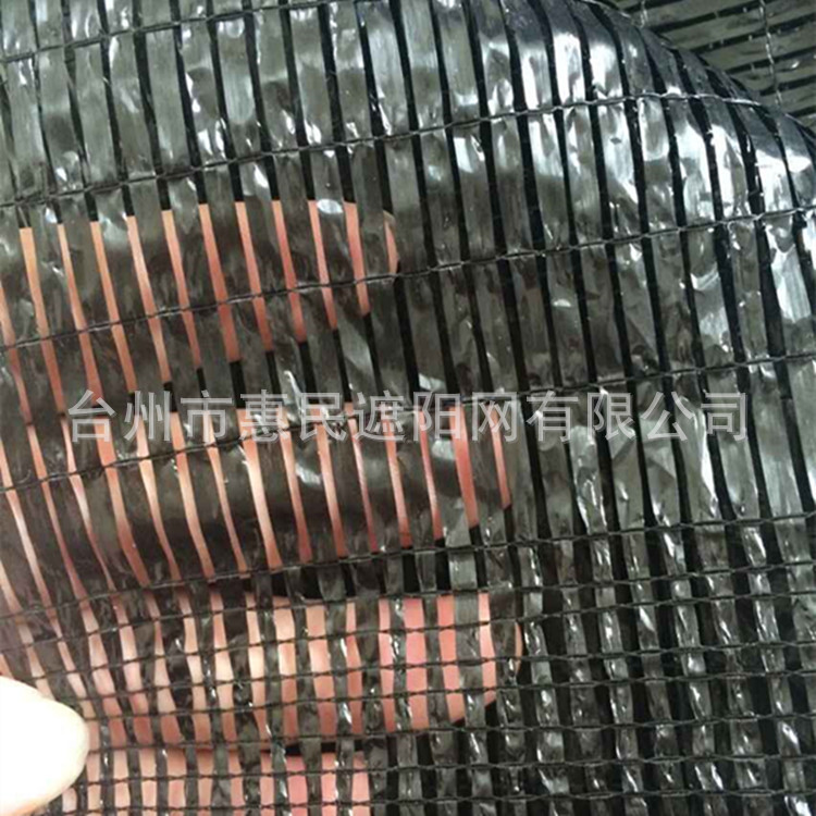 Huimin nets Various Plastic Shade net Plain weaving sunshade net encryption direct deal