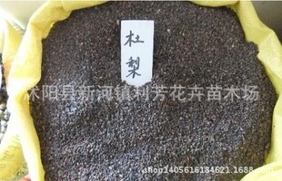 ���N�Ӷ����������޽�����Ҏ��Ʒ�N�Rȫ