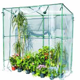 厂家供应 温室暖房 芽苗菜种植 Greenhouse