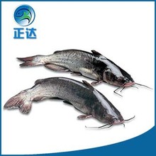 ���_ˮ�a���� �����I�~�� ���B�I�~�� �gӭ�xُ