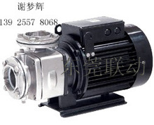 WALRUS �A��ʿˮ��TPH50T4K