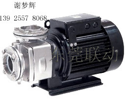 WALRUS �A��ʿˮ��TPH50T4K