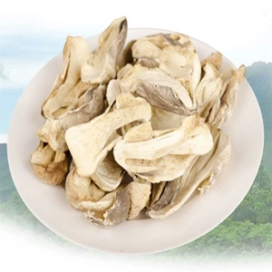 Оптовые грибы Fujian Gutian и грибы из орхидей.