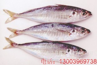 ���l������W��������~���~���r���r�ك������¾��ֹ����r��