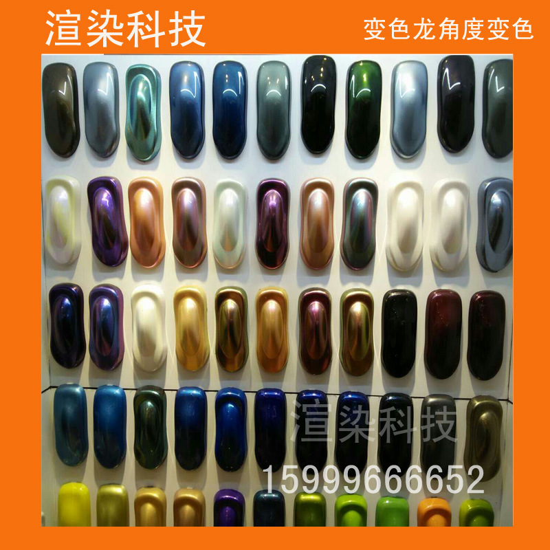 变色龙实物图片