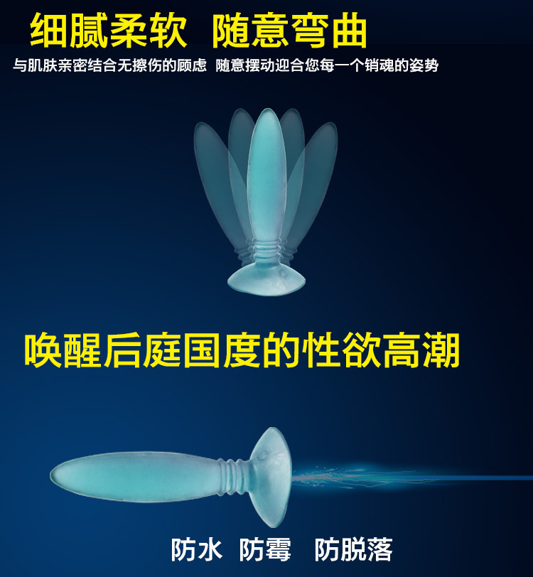 菊花子弹头描述_07