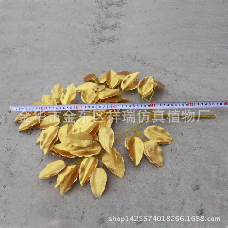 XRB-089金榕三叉枝37叶58cm长