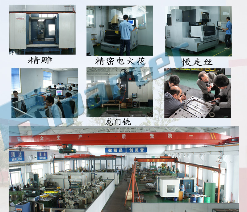 819258847_1433155551