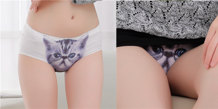 2338242605_695400580