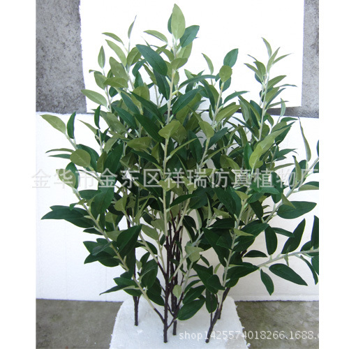 五叉支沙枣叶90叶70CM