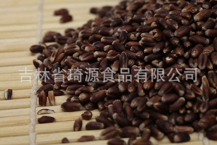 Roasted Black Wheat Low Temperature Baked Whole Grain for Fresh Soy Milk and Congee quality and texture
