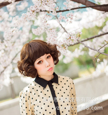 T2oOfiXk4XXXXXXXXX_!!104725784