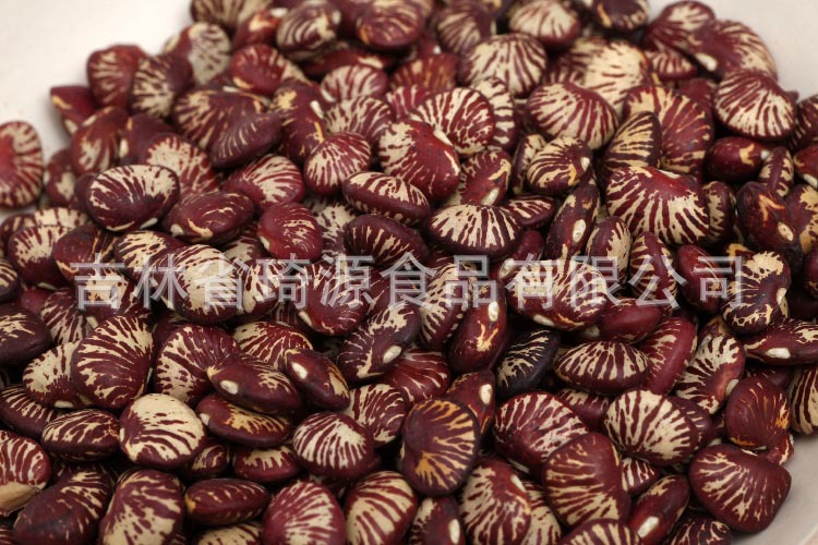 Low Temperature Roasted Cooked Kidney Beans Wholesale Five Grain Soy Milk Ingredient quality and texture