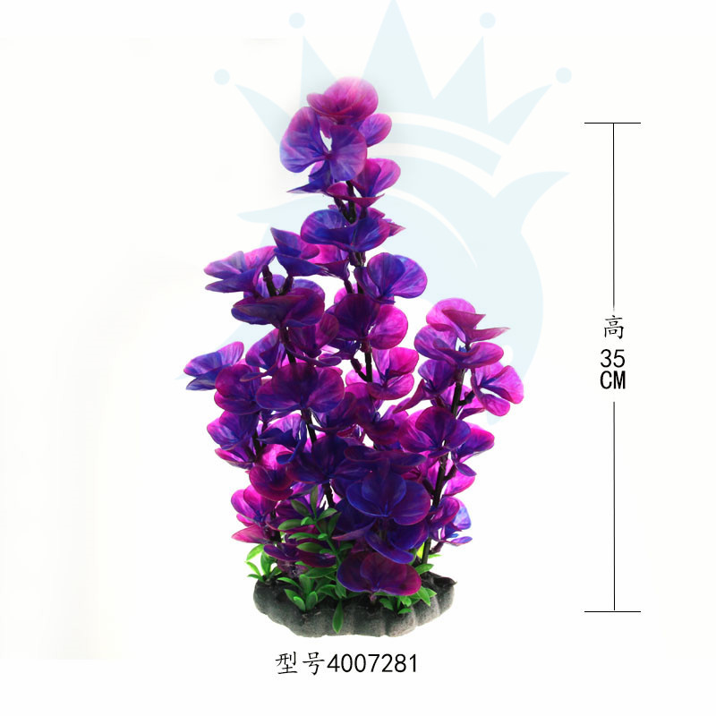 小草居士_小草居士供应商_小草居士批发市场