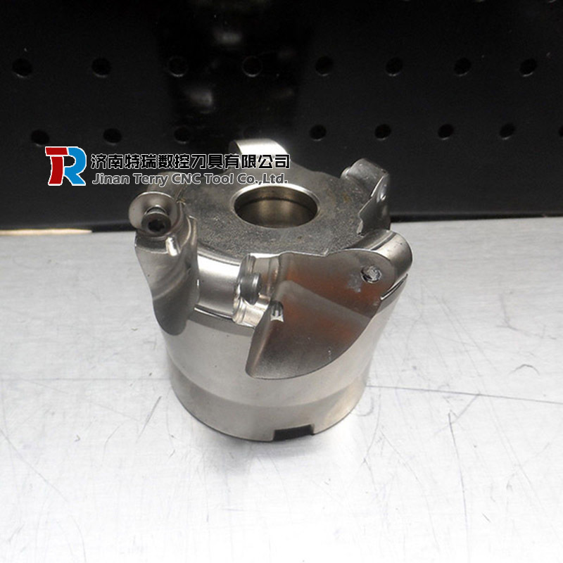 R217.69-1632.RE-12-4AN进口方肩铣刀杆