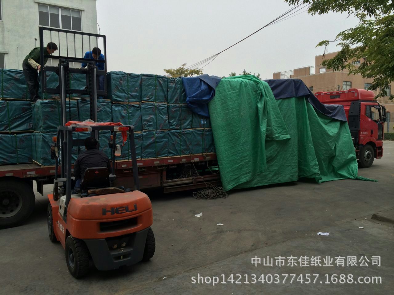 QQ圖片20150119091008