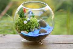 Creative transparent glass vase, tripod goldfish tank, three-legged moss landscape bottle, home decoration crafts
