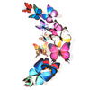 Three dimensional decorations on wall with butterfly, cloth, fridge magnet, set for living room, in 3d format, 12 items