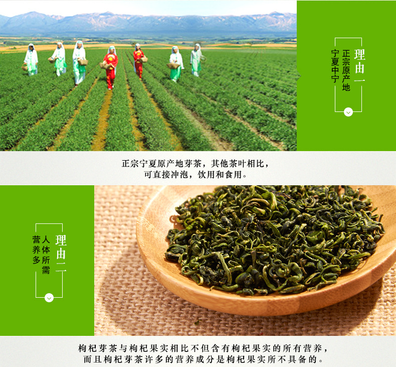 250g-芽茶-恢复的_03