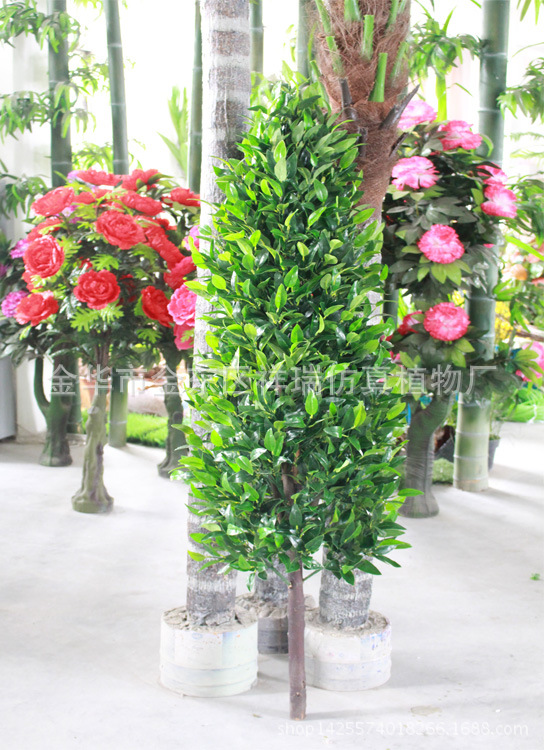 塔形单杆橄榄树170厘米整