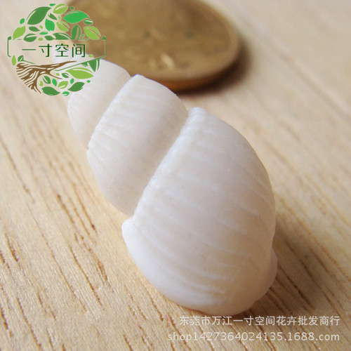 Moss Micro Landscape, Ocean Landscape, Natural Small White Snail, White Sea Shell, Shell, Ocean Decorative Ornament