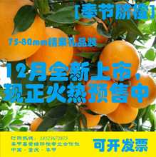 秭归脐橙价格_最新秭归脐橙价格\/批发报价_秭