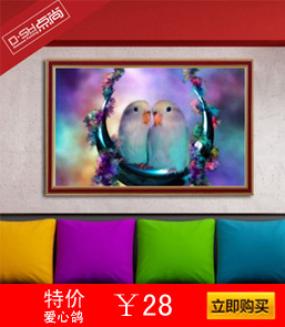 爱心鸽