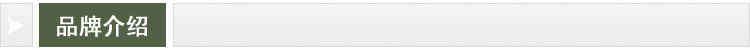 品牌介绍标题条211