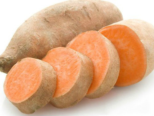 �F؛���� �S�ļt�� �r�aƷ�t�� �t���t��