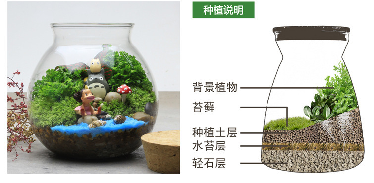 種植說明01