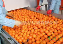 ӹPˮLxC Yx֙zC zC xC