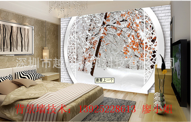 背景墙印刷效果