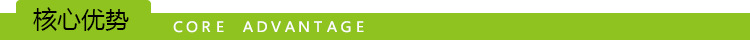 核心優勢