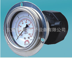 低价供应台湾华记PP隔膜压力表 GE-ACF STIKO压力表