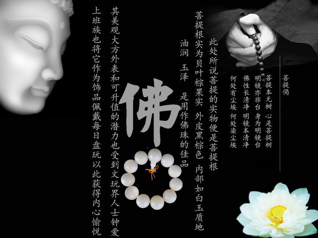 菩提根详情页_副本_副本