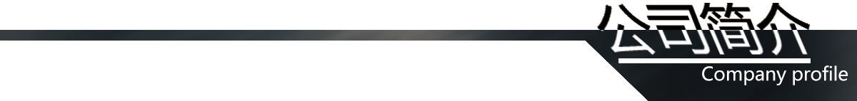 冲孔打字一体机 数控冲床 焊接机身刚性好 液压冲床