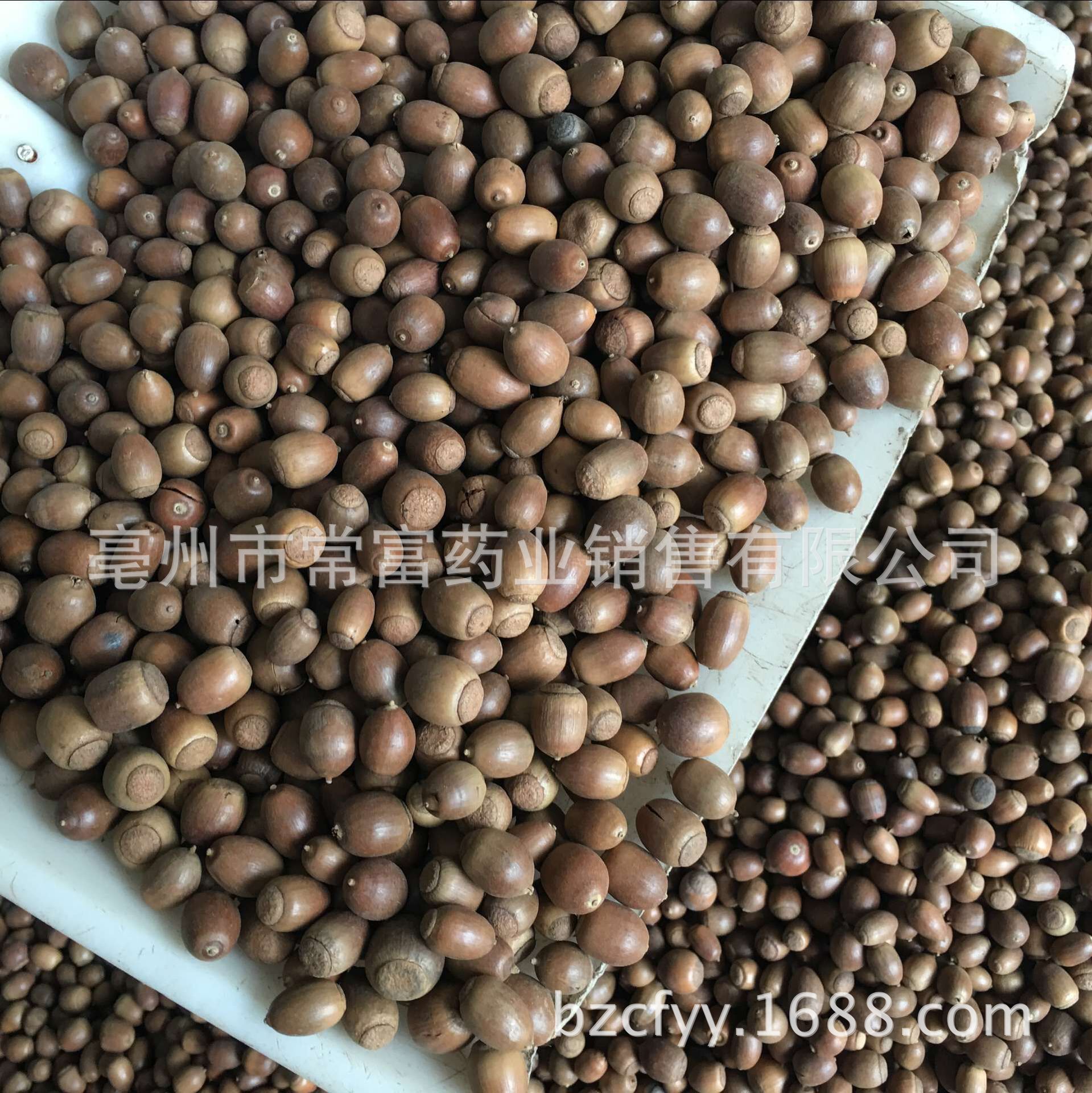 优质新货橡子果 橡树种子 工艺品 串 原料 橡子仁 橡子粉80-200目-阿里巴巴