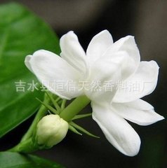 �������  ������  ���򻨾���