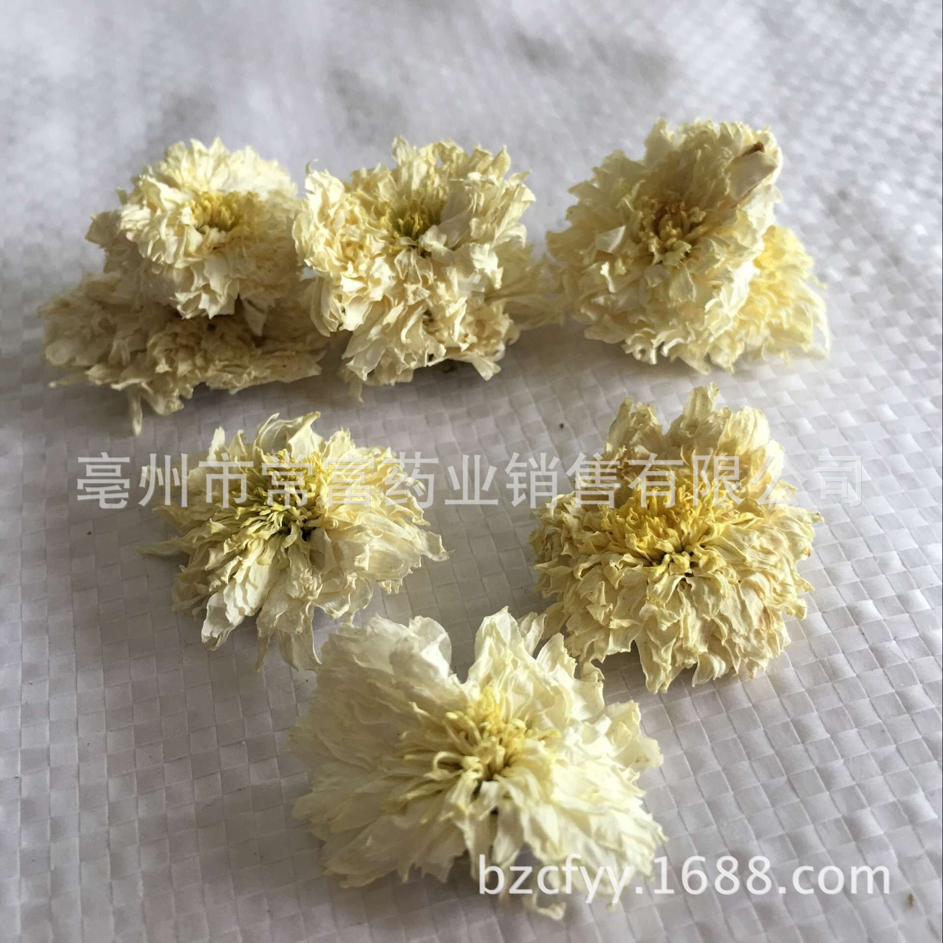 Huangshan Gongju Chrysanthemum Tea Dried Gong Ju Flowers 500g Loose Herbal Tea for Brewing overview