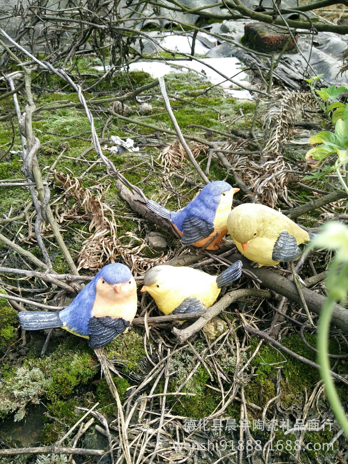 IMG20150607151105_副本