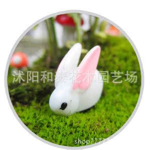 园艺多肉植物摆件微景观装饰品可爱森林动物花盆DIY小摆件|ru