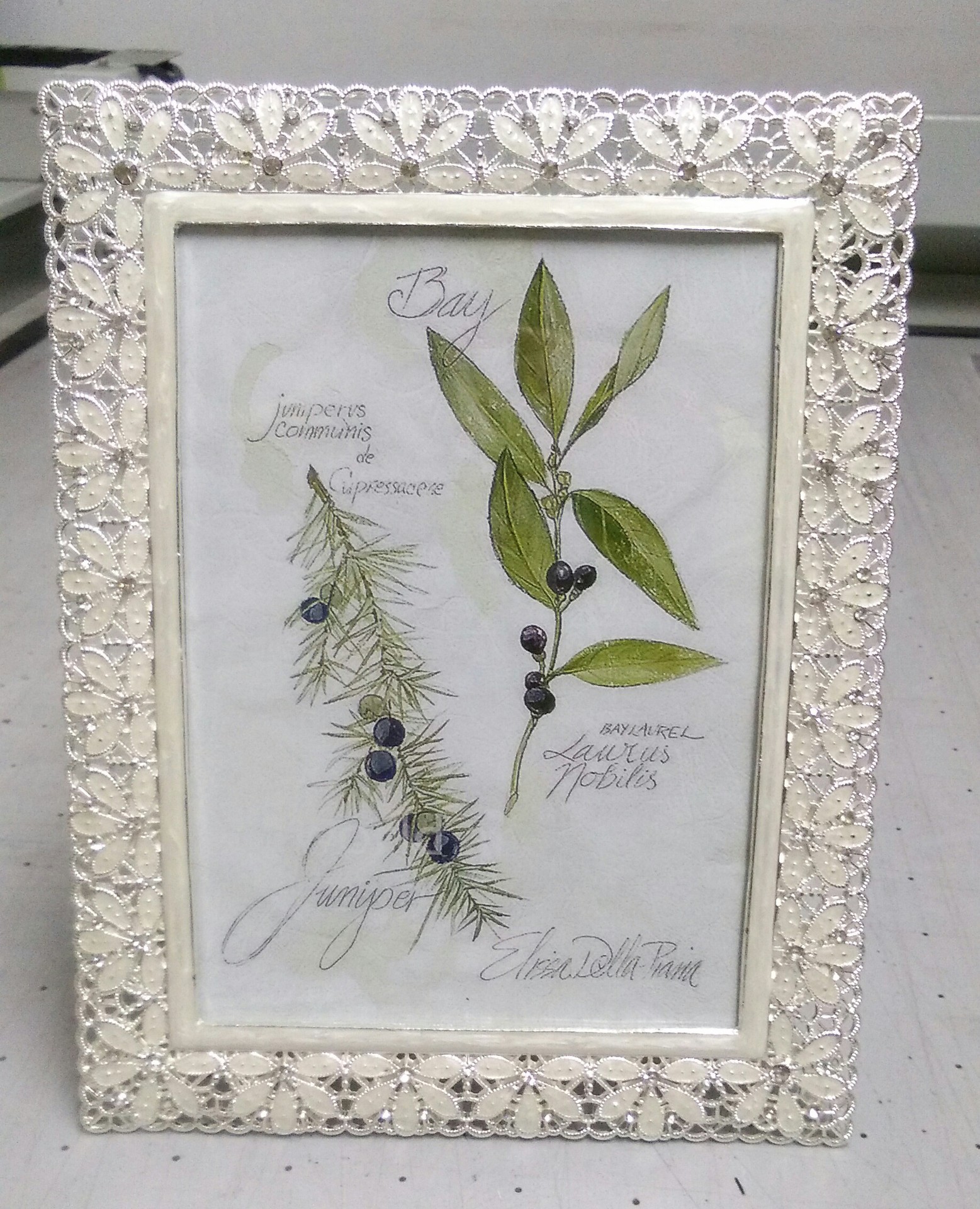 IMG_20150921_103408-1