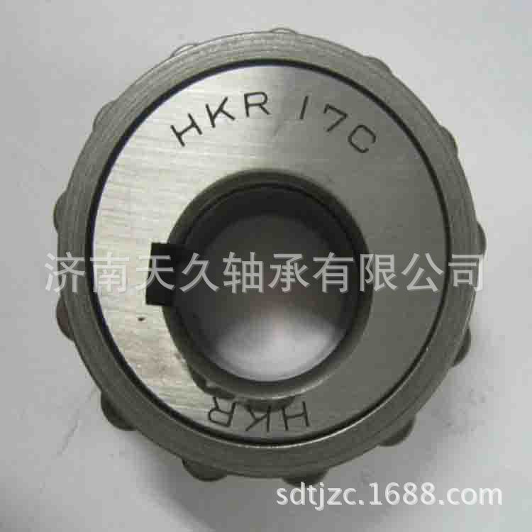 61021YRS 612519YSX整体偏心轴承 61243YSX减速机轴承