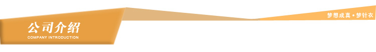 公司介绍