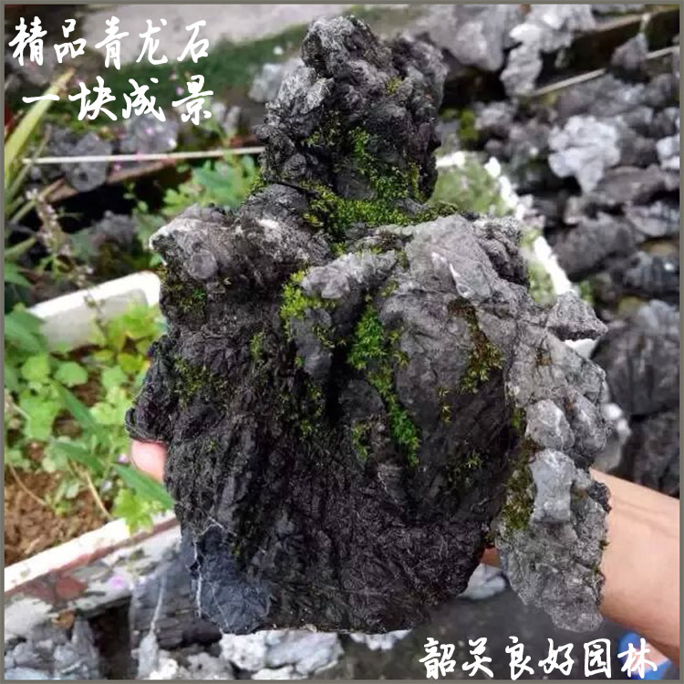 天津青龙石,青龙石批发市场在哪里,青龙石是什么石头(第2页)_大山谷图库