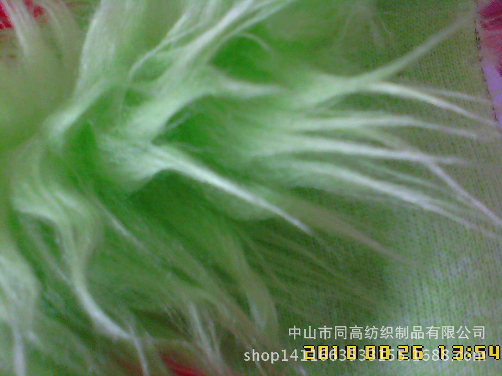 中山厂家直销人造毛皮绒布 落水毛 滚束毛绒布