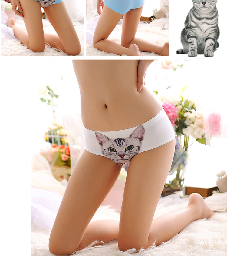 猫咪内裤_09